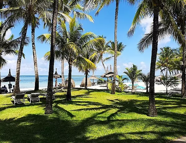 Massevis av palmer og områder å hvile på